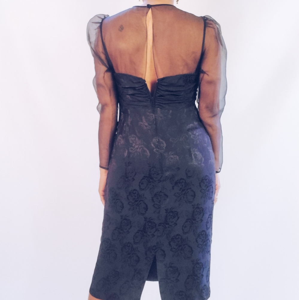 Vintage Organza Dress - Picture 3 of 11